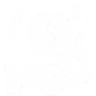Money Icon