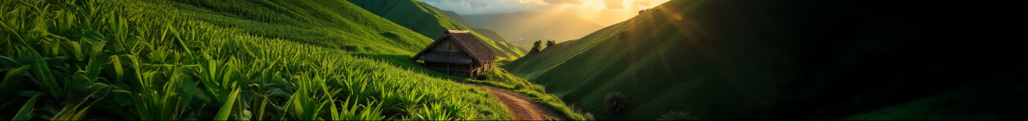 Northern Mariana Islands